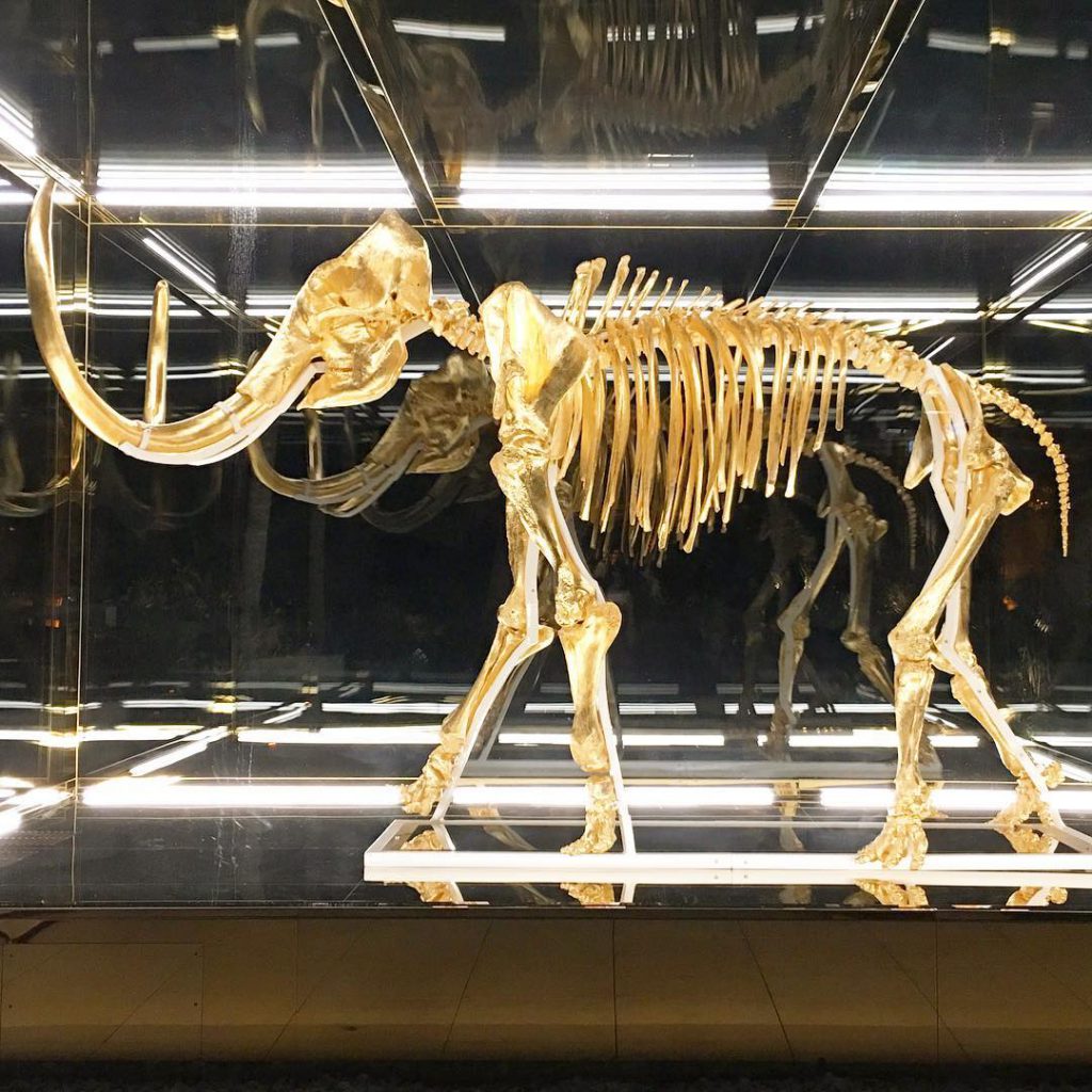 Golden Mammoth